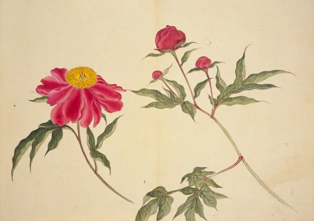 photo13.jpg