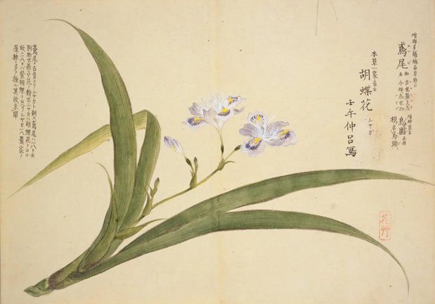 photo15.jpg