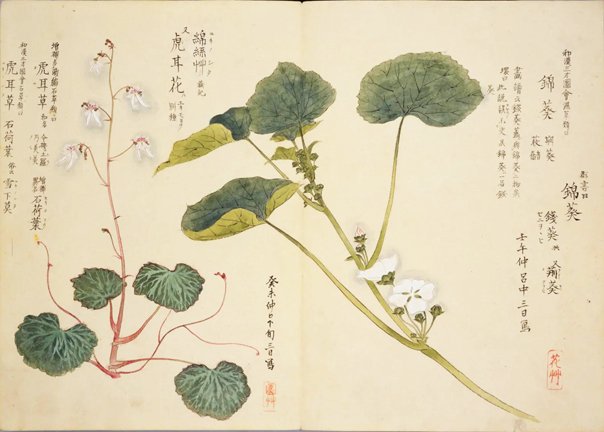 photo18.jpg