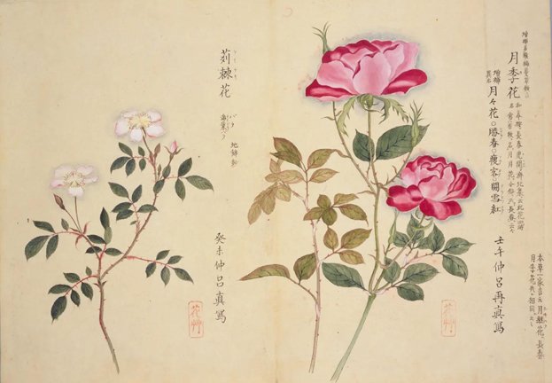 photo19.jpg
