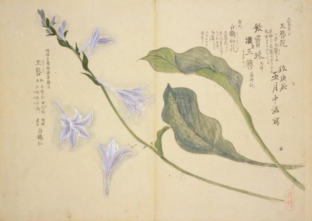 photo2.jpg