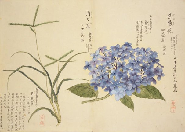 photo22.jpg
