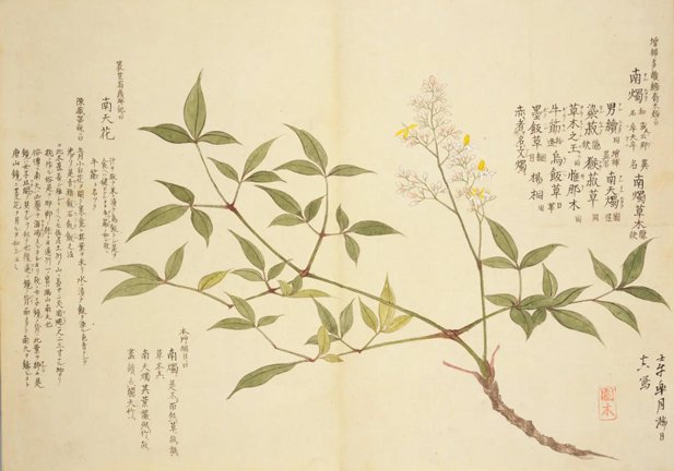 photo23.jpg