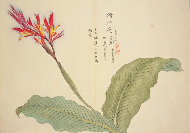 photo27.jpg