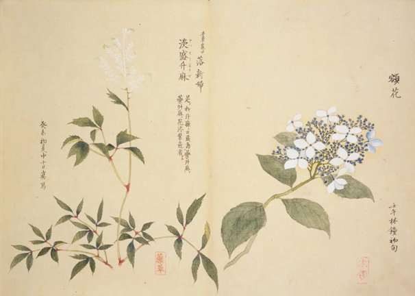 photo30.jpg