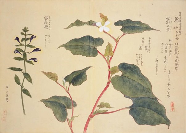 photo38.jpg