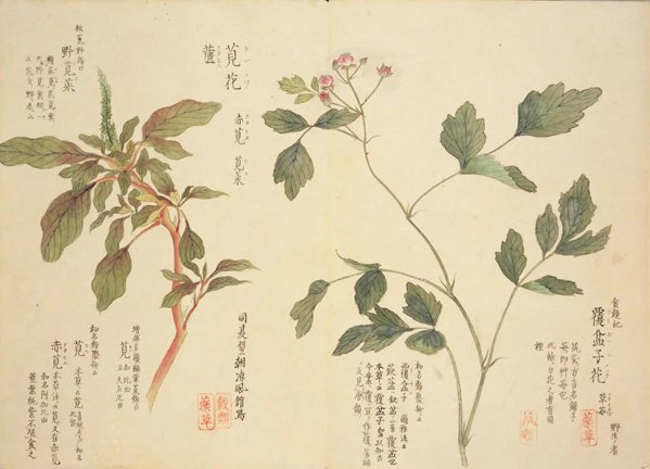 photo42.jpg