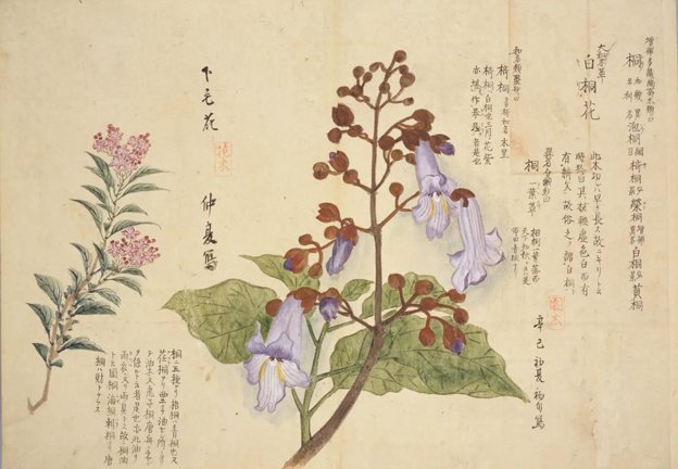 photo5.jpg
