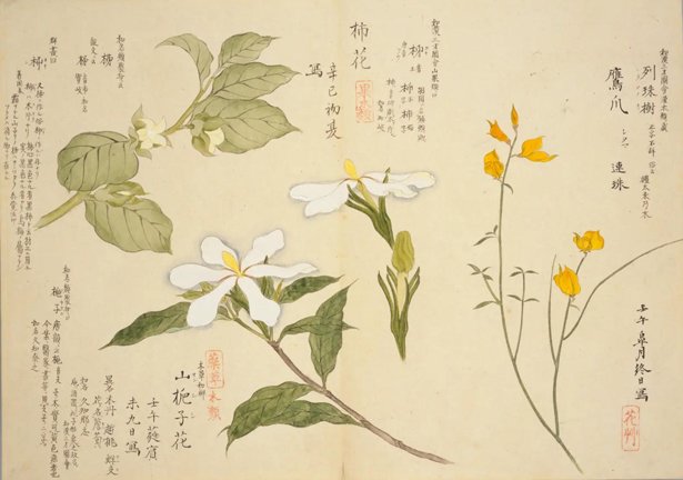 photo9.jpg