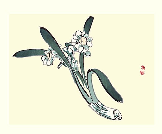 photo6.jpg