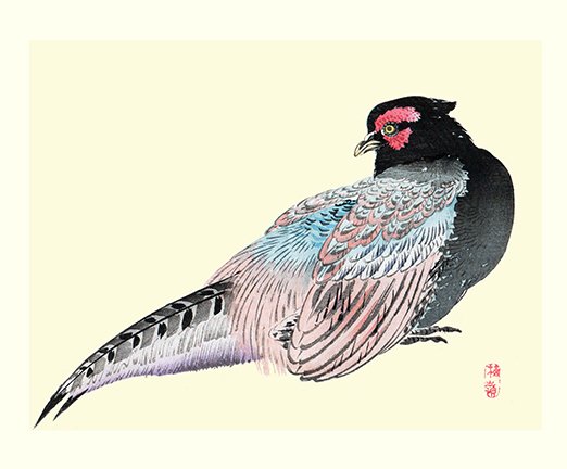 photo32.jpg
