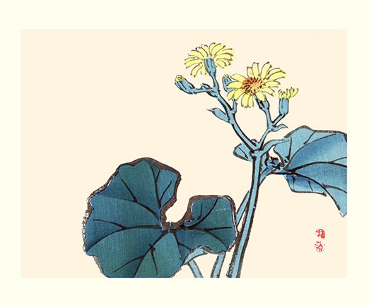 photo37.jpg
