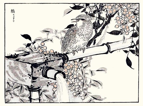 photo24.jpg