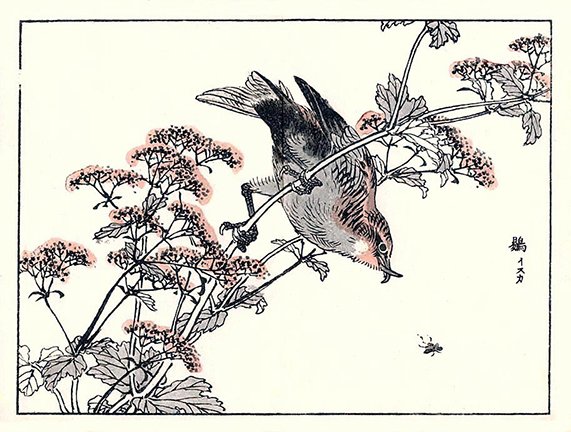 photo20.jpg