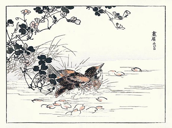 photo30.jpg