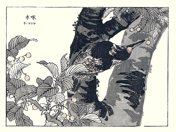 photo32.jpg