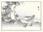 photo33_small.jpg