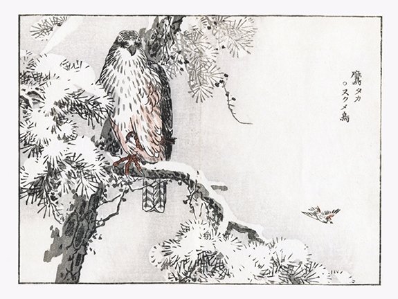 photo49.jpg