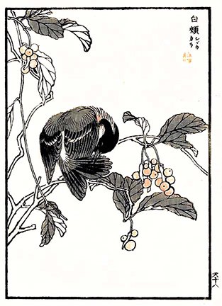 photo29.jpg