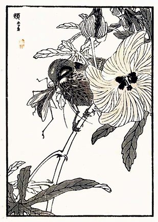 photo30.jpg