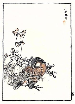 photo5.jpg