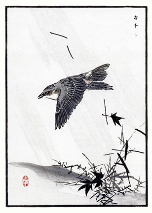 photo9.jpg