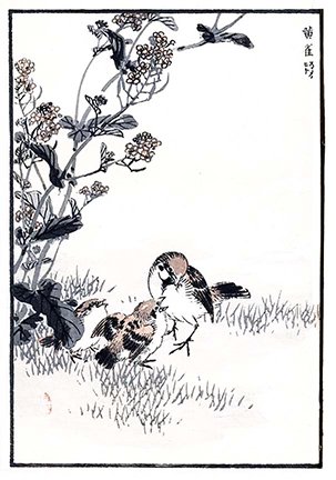 photo16.jpg