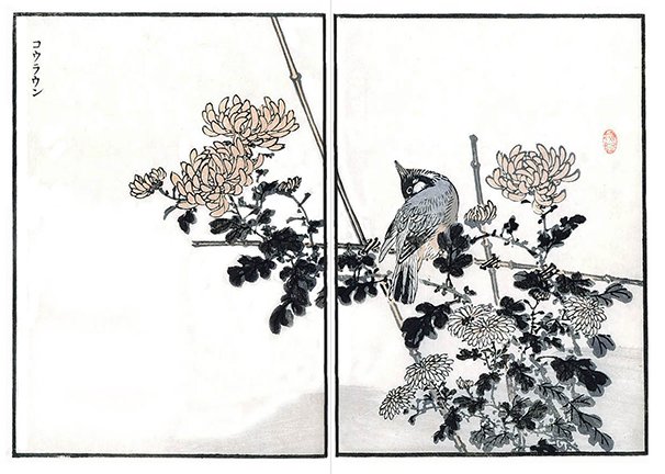 photo19.jpg
