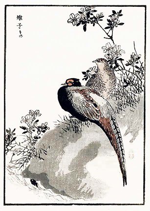 photo35.jpg