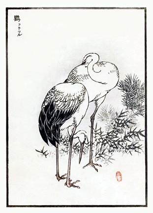 photo46.jpg