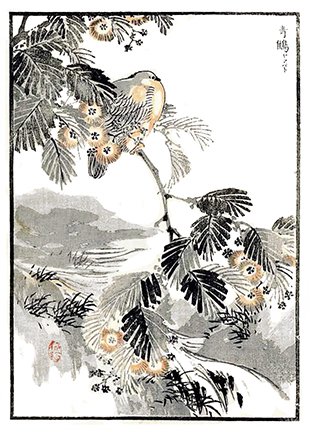 photo49.jpg