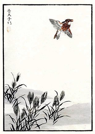 photo69.jpg