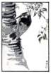 photo80_small.jpg