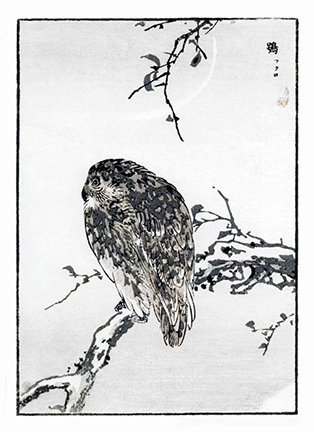 photo87.jpg