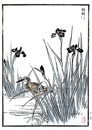 photo88.jpg