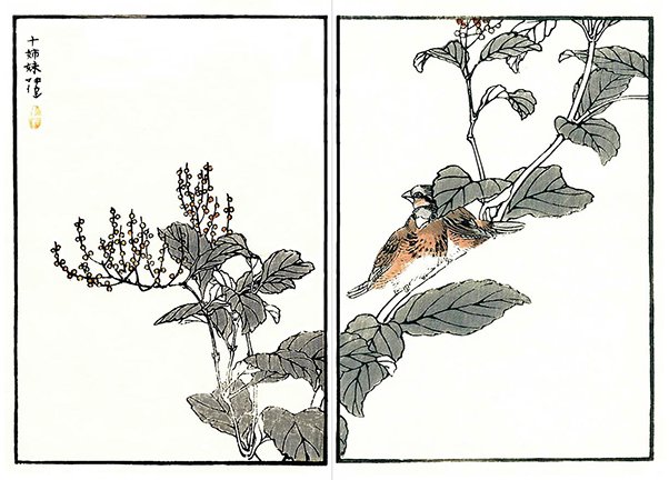 photo93.jpg