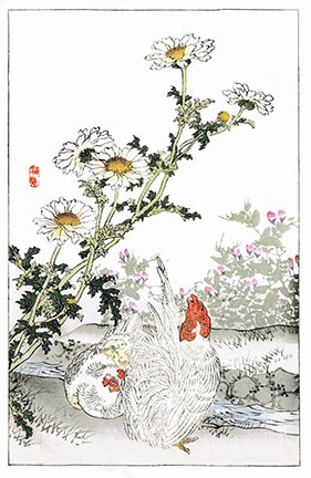 photo14.jpg