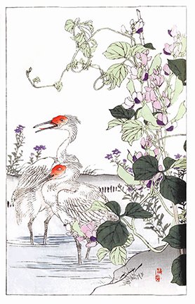 photo29.jpg