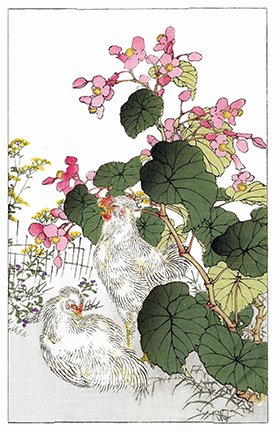 photo34.jpg