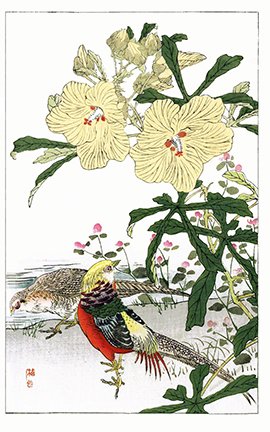 photo36.jpg