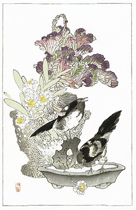 photo46.jpg