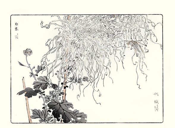 photo10.jpg