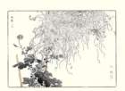 photo10_small.jpg