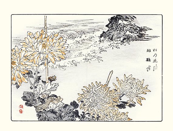 photo27.jpg