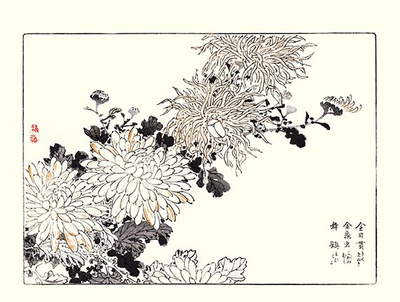 photo28.jpg