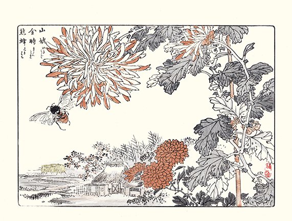 photo35.jpg