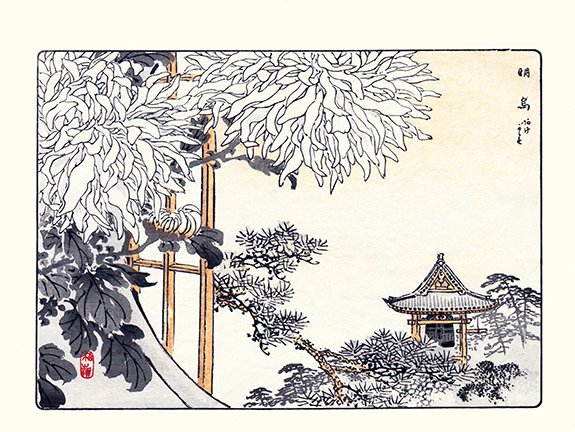 photo16.jpg