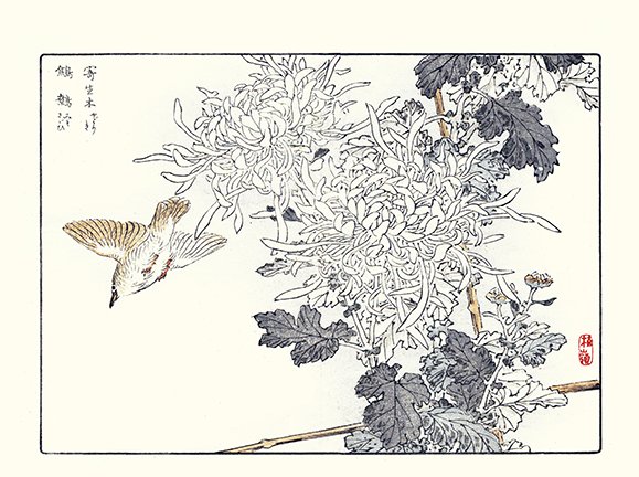 photo18.jpg