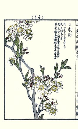 photo14.jpg