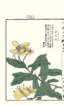 photo104_small.jpg